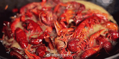 昆明盘龙发布