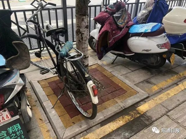 昭通日报