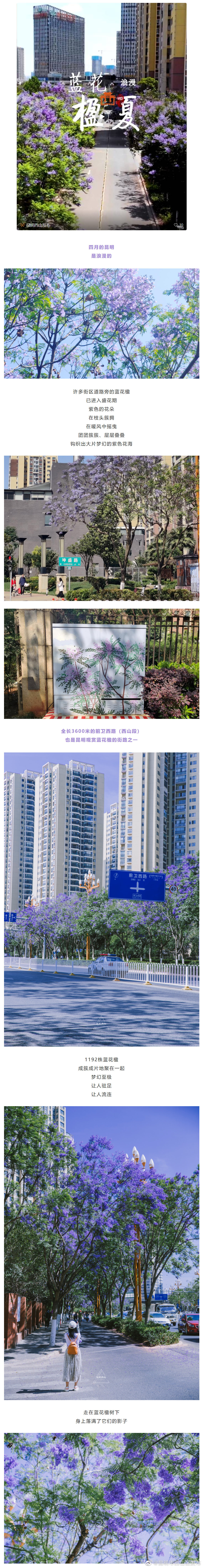 昆明市西山区发布