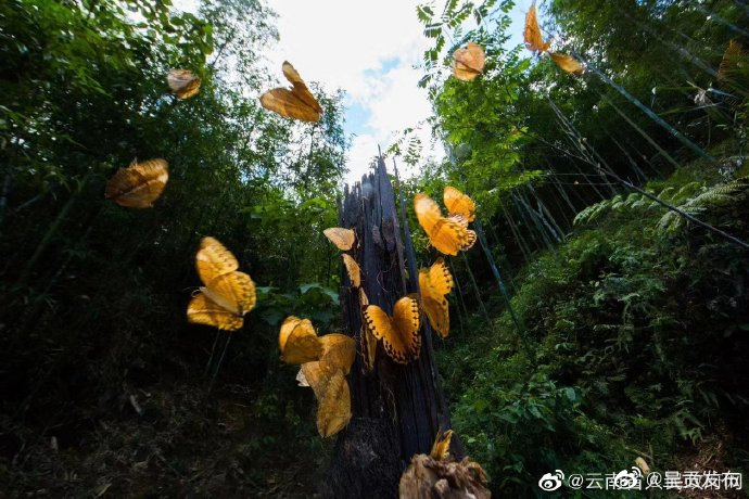 呈贡发布