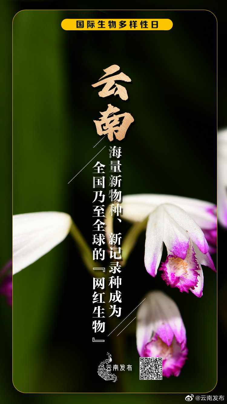 “云南发布”微博