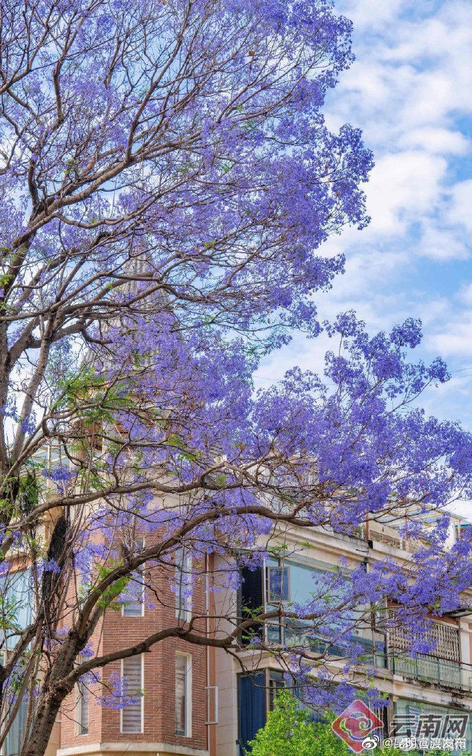 “昆明官渡发布”微博