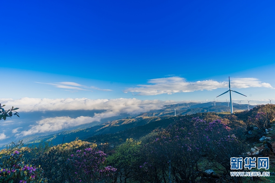 云南省文化和旅游厅