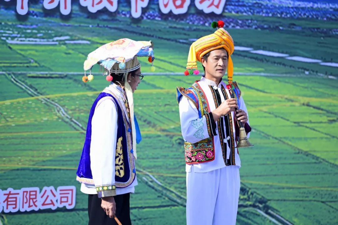 大理电视台