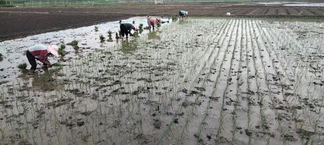 大理电视台