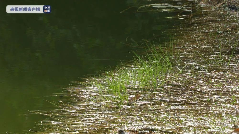 昆明信息港/cnkmxxg