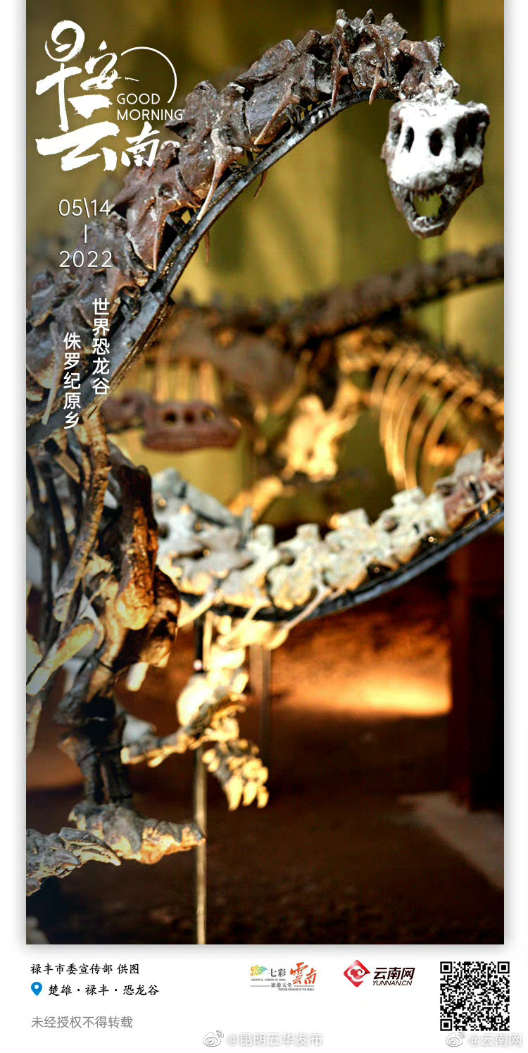 在世界恐龙之乡 来一场与生命的时空对话