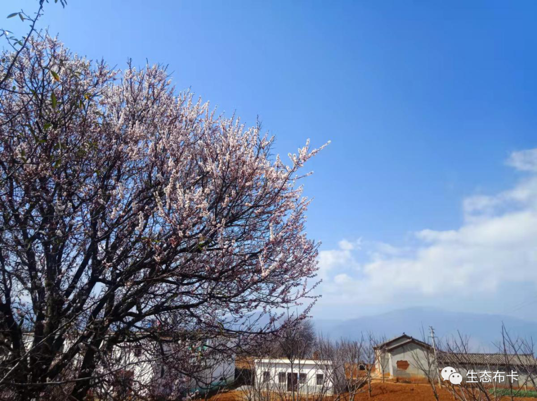 东川发布(微信)