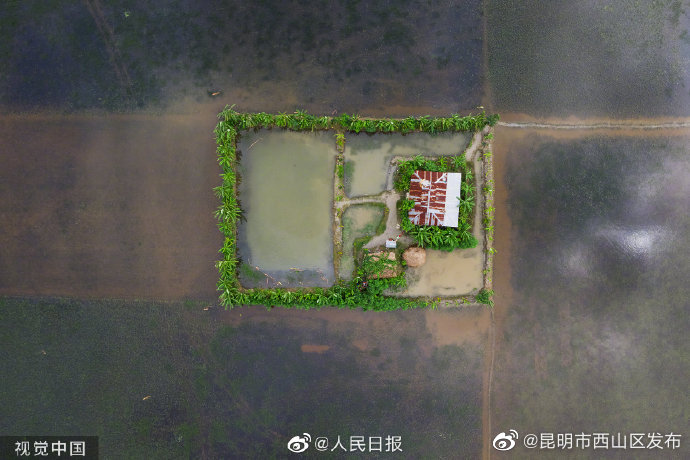 昆明市西山区发布