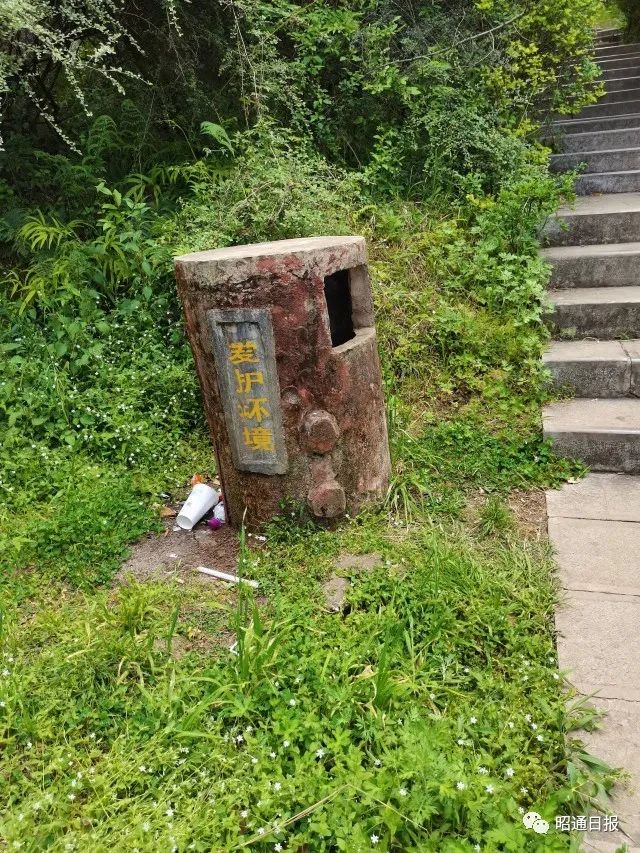 昭通日报