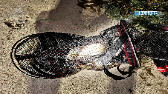 昆明信息港/cnkmxxg