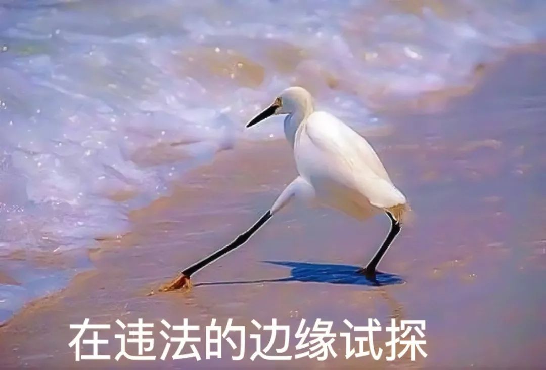 平安东川(微信)