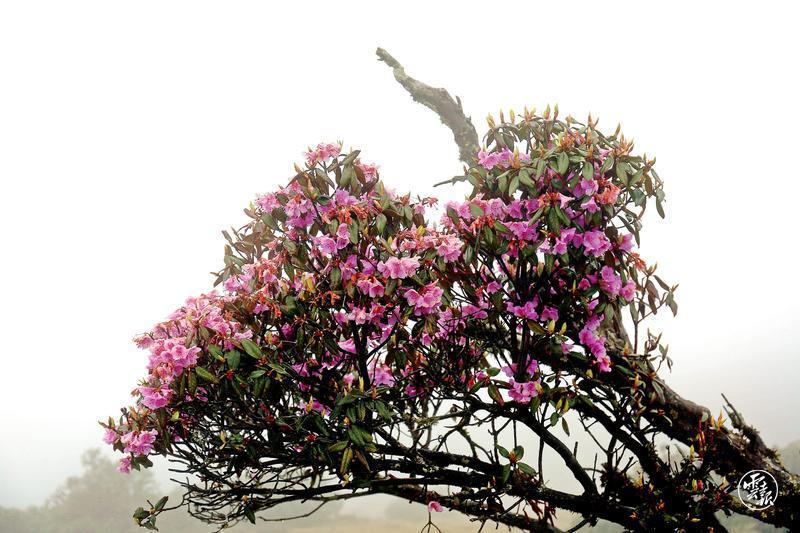 云南省文化和旅游厅