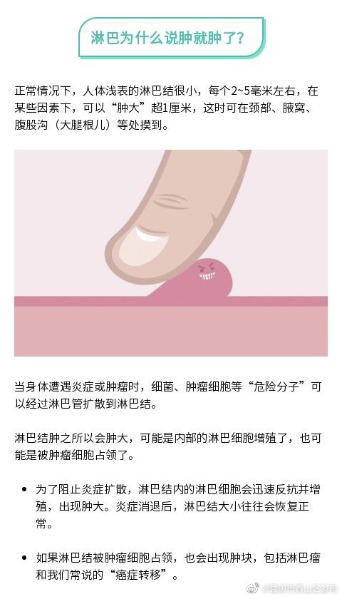 昆明市西山区发布