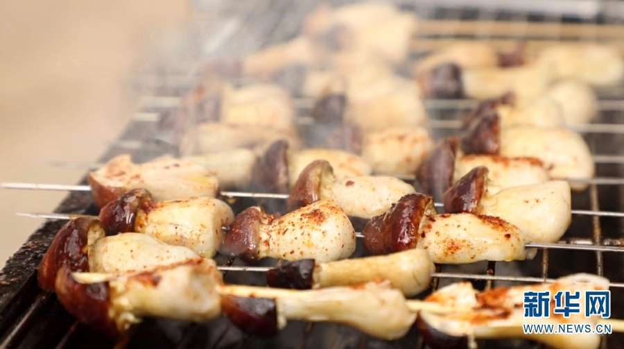 云南省文化和旅游厅