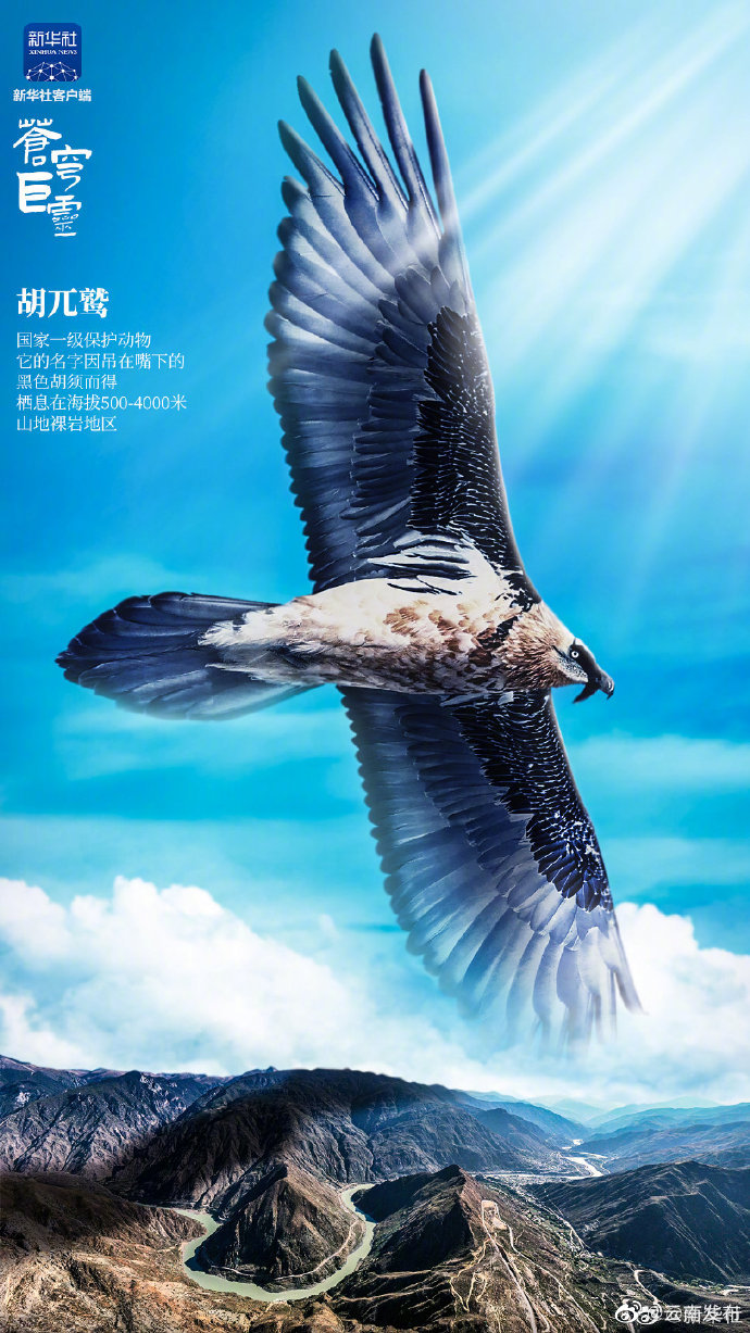 “云南发布”微博