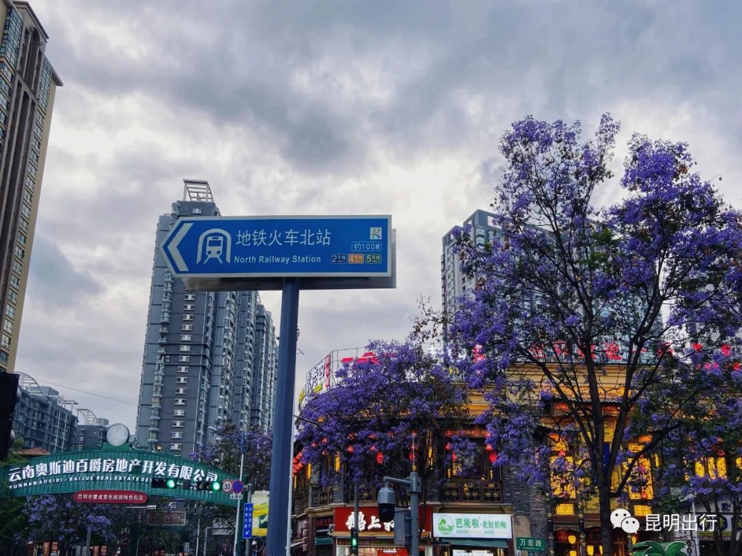 昆明信息港/cnkmxxg