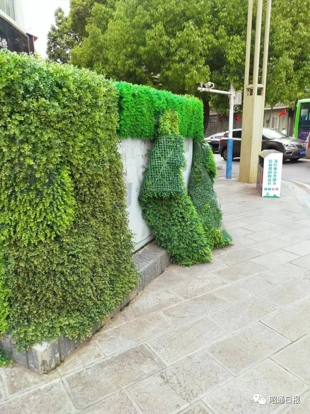 昭通日报