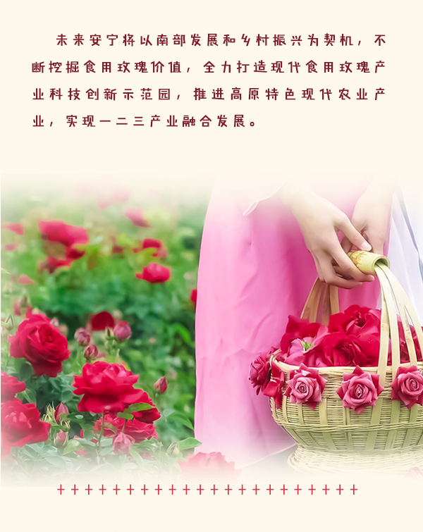 昆明发布