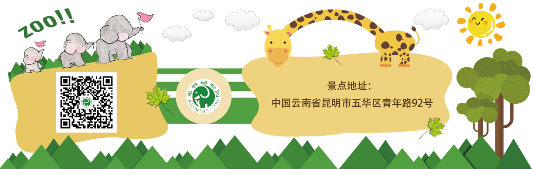 昆明动物园