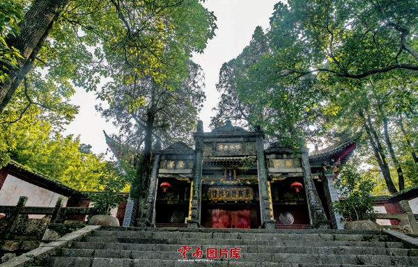 云南信息报