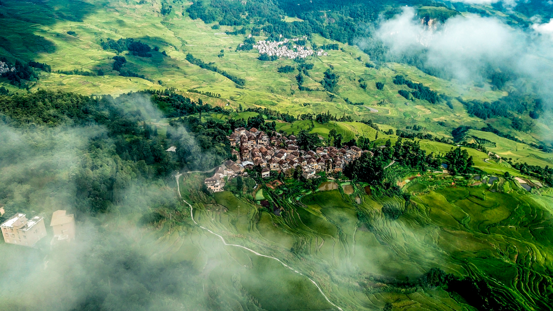 云南省人民政府网