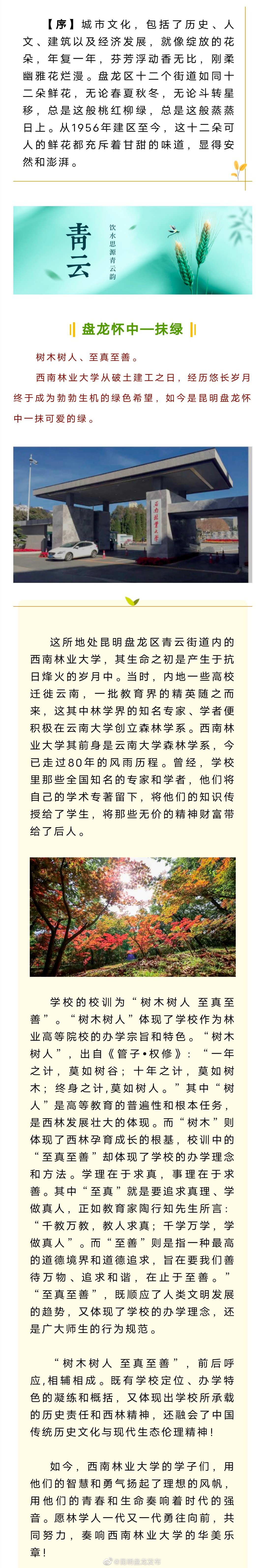 芳华正茂 盘龙如歌 | 盘龙怀中—抹绿