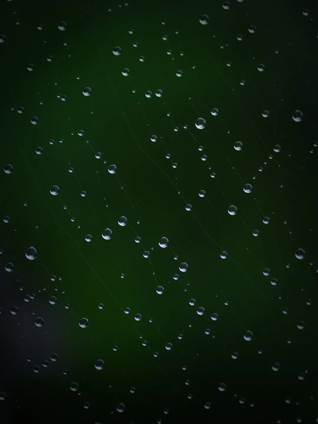 昆明市金殿名胜区