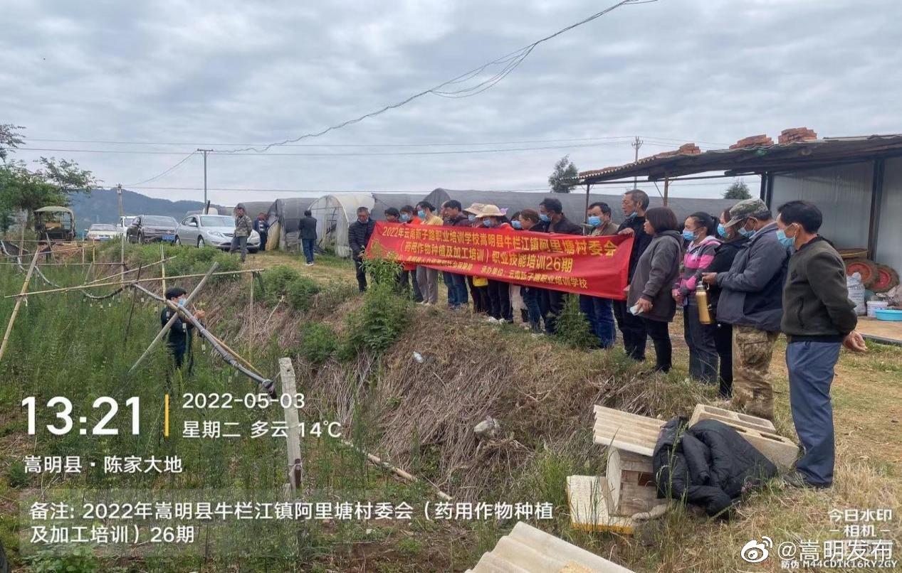 嵩明发布