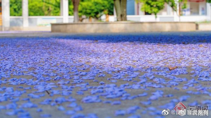 “昆明官渡发布”微博