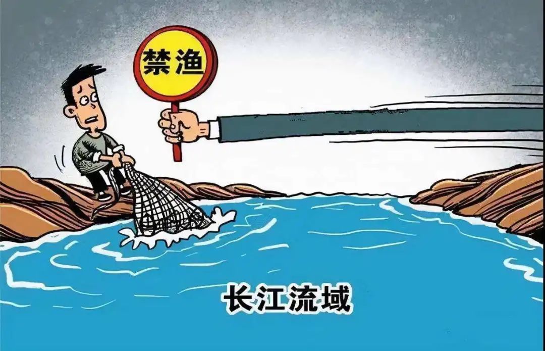 昭通日报