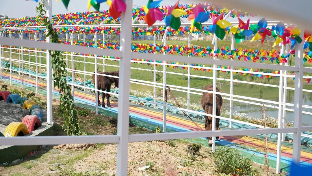 保山广播电视台