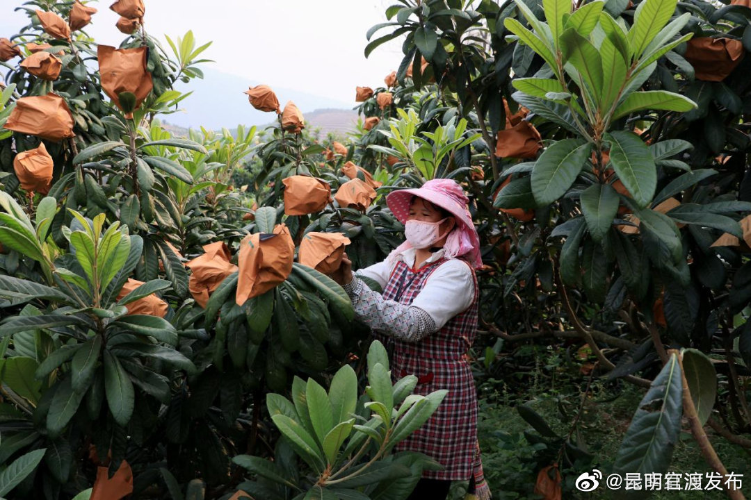 “昆明官渡发布”微博