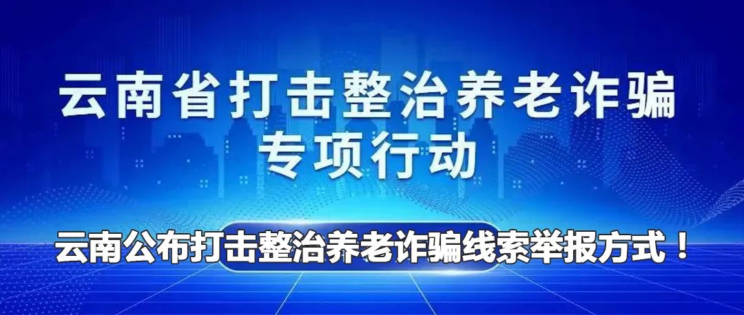 云南政法