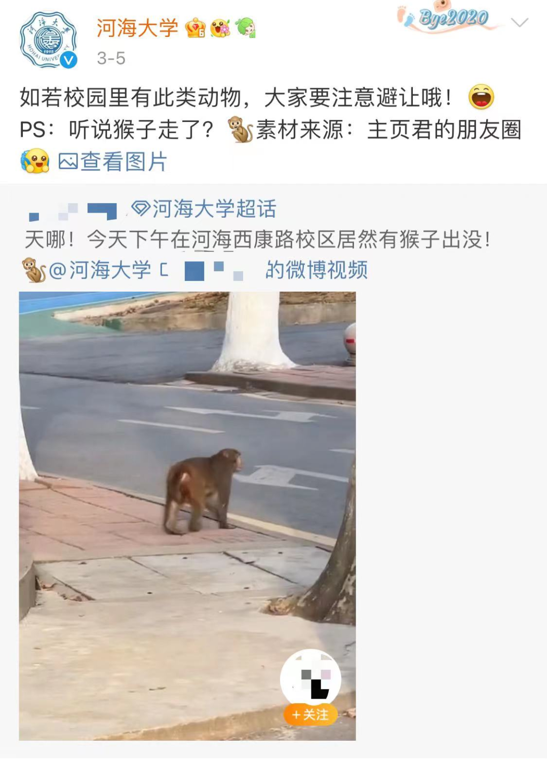 掌上春城微信公众号