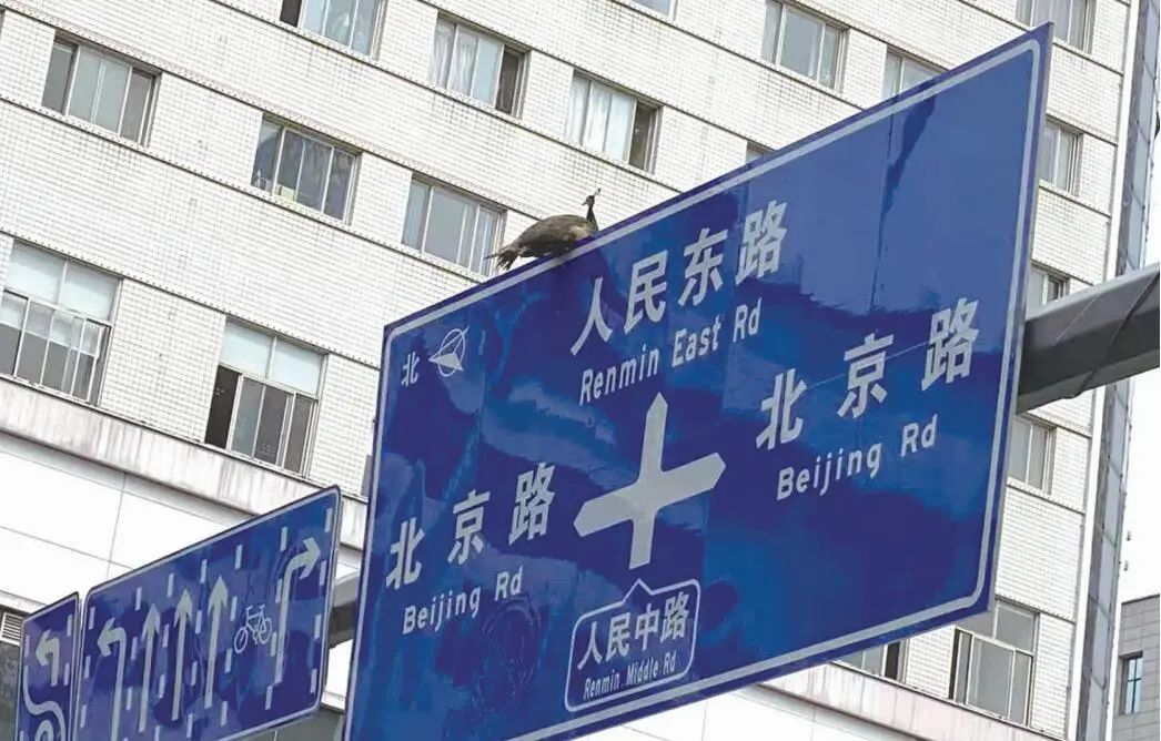 昆明信息港/cnkmxxg