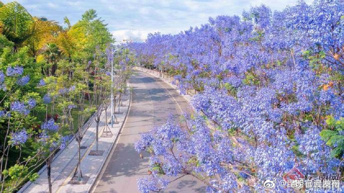 “昆明官渡发布”微博