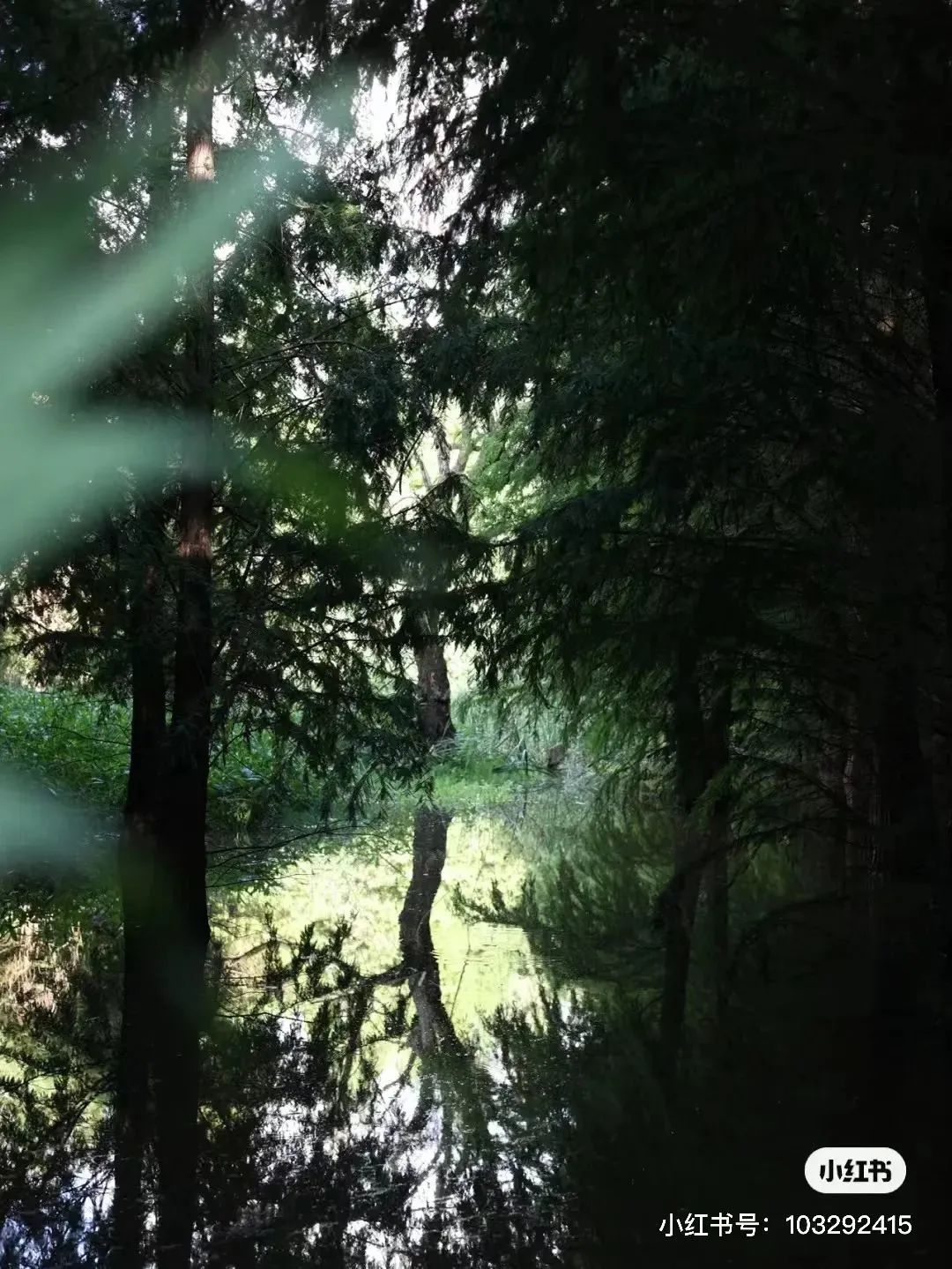 昆明滇池国家旅游度假区管理委员会(微信)