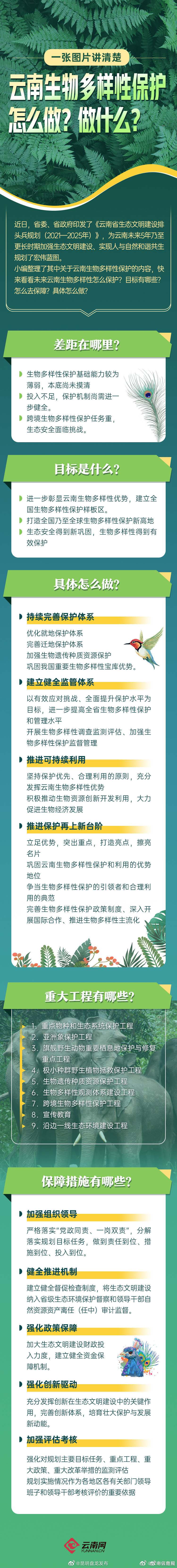 国际生物多样性日｜一图读懂生物多样性保护的云南担当