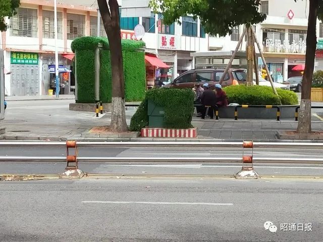 昭通日报