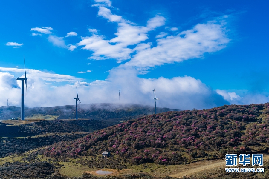 云南省文化和旅游厅