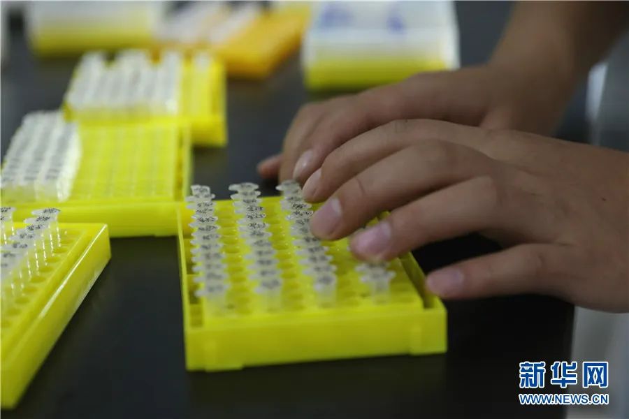 美丽云南微科普