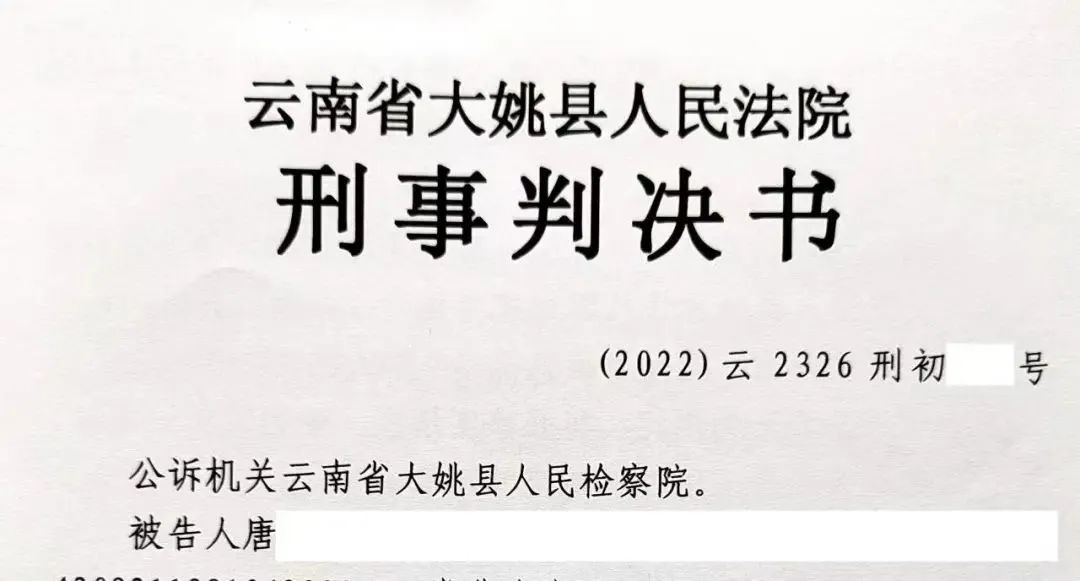 云南政法