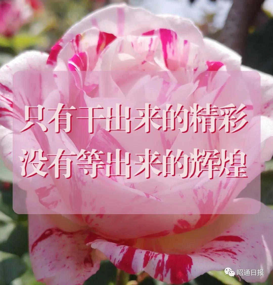昭通日报