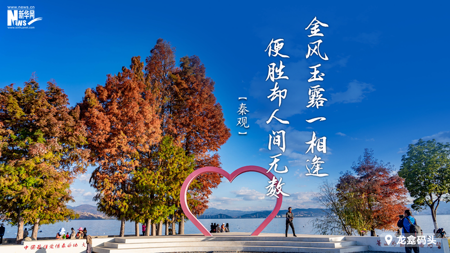 新华网云南频道