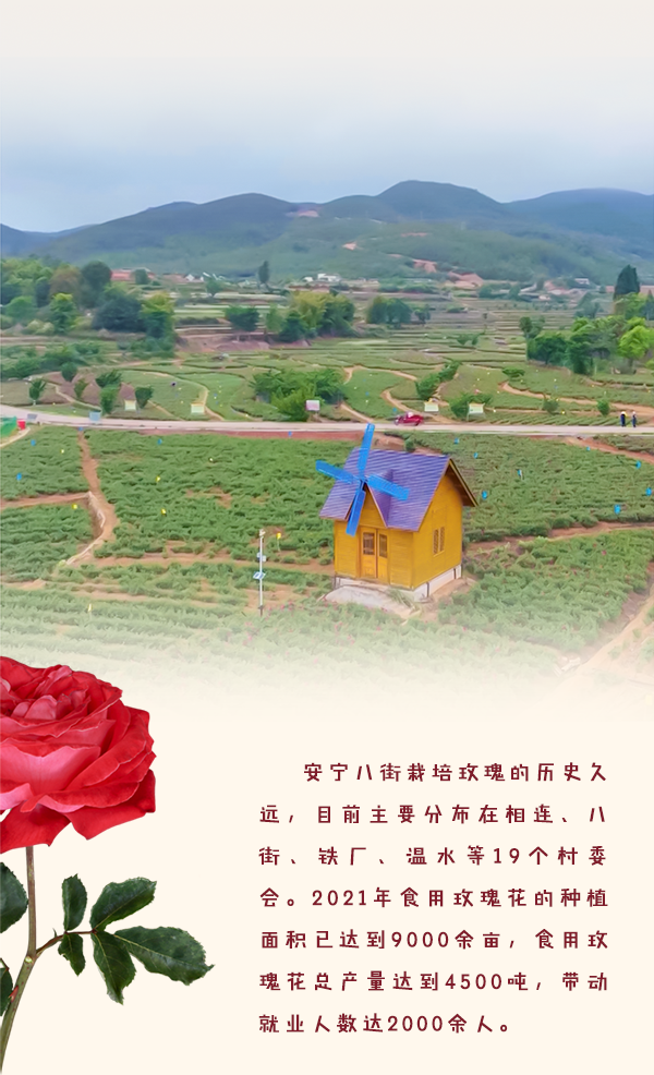 昆明发布