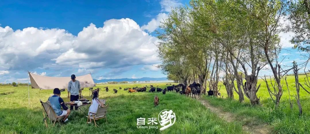 保山新闻网
