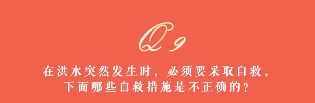 大理日报