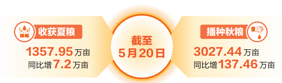 云南省人民政府网