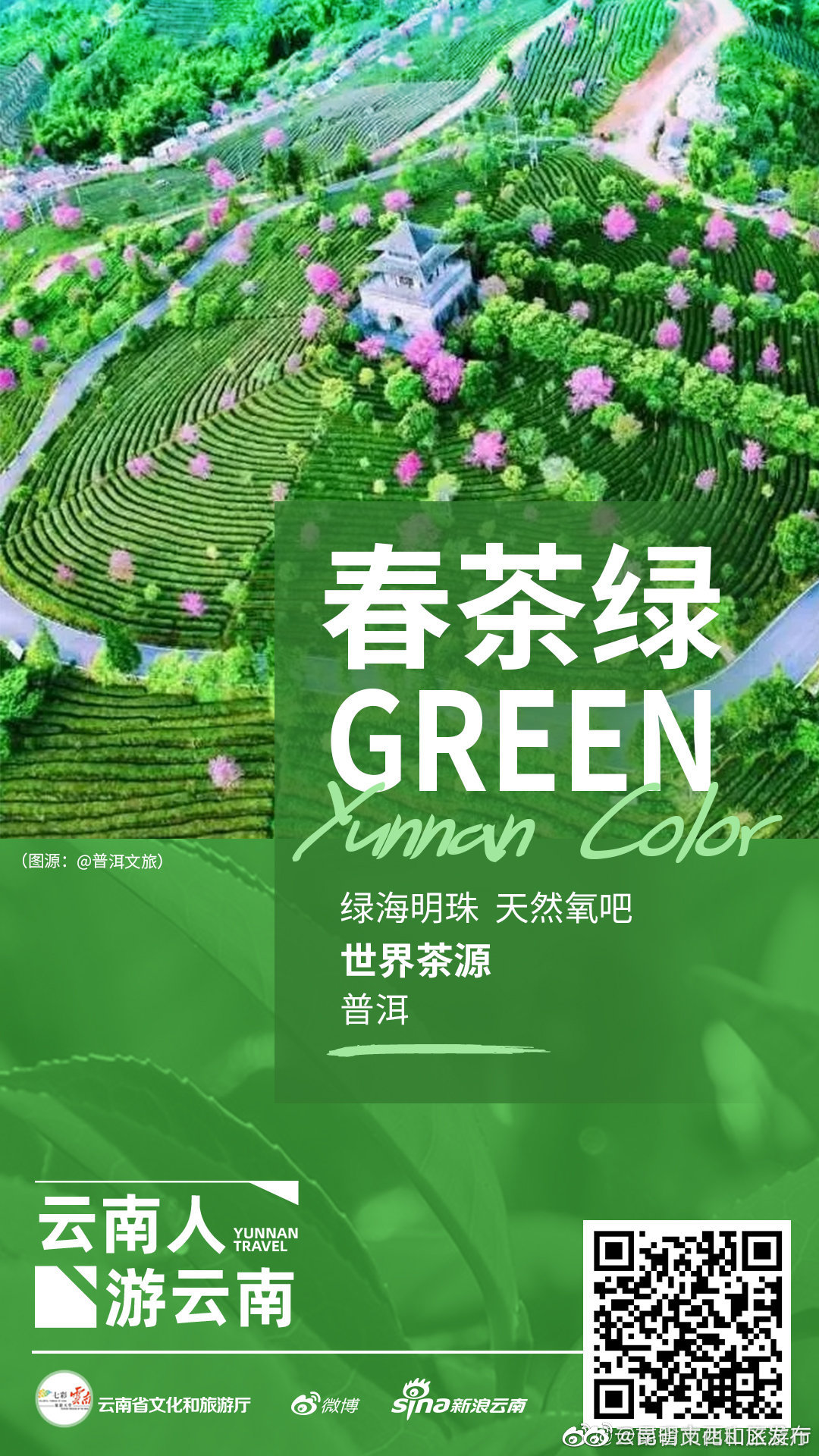 昆明市西山区发布